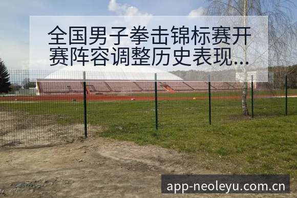 全国男子拳击锦标赛开赛阵容调整历史表现分析 - 乐鱼APP